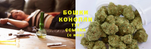 альфа пвп Медногорск