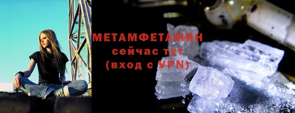 прущие грибы Медвежьегорск