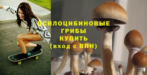 эйфоретик Липки