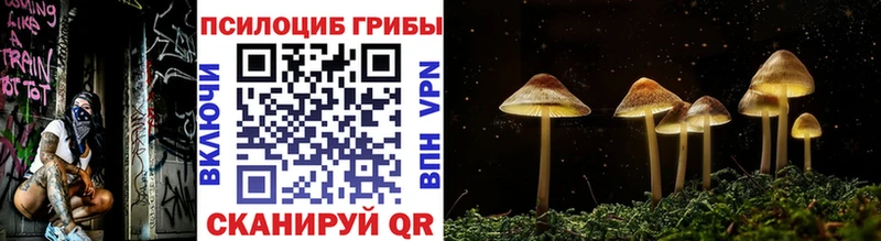 Купить  Геленджик  Галлюциногенные грибы Magic Shrooms 