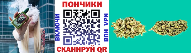 Купить где  Геленджик  Конопля сатива 